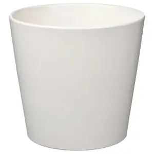 19 cm