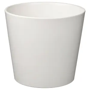 24 cm