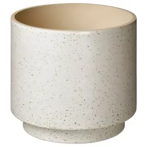 SANDKÖRSBÄR