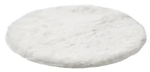 MALÖRTSMOTT