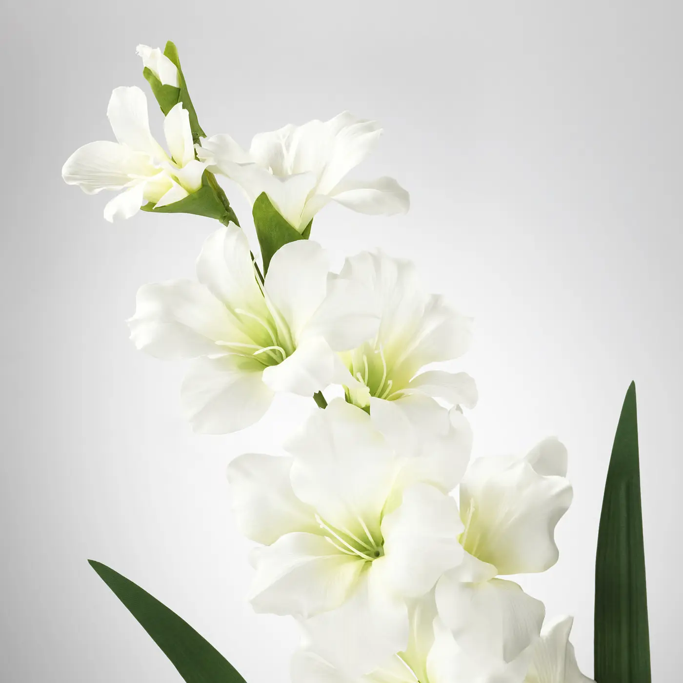 Фото товара 3