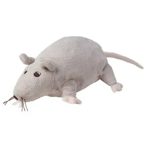 GOSIG RÅTTA