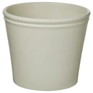 KÖRSBÄRSBJÖRK